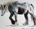 Gypsy Horse (Walking) - Watercolour - 20x29cm - £75