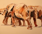 Young Elephants - Pen & Wash - 18x35cm - £65