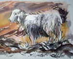 Lost Sheep - Watercolour - 20x29cm - £75
