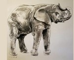 Baby Elephant - Charcoal - 29x29cm - £95